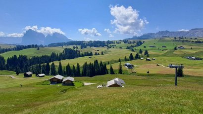 La Panes: Wagyu-Fleisch aus Südtirol